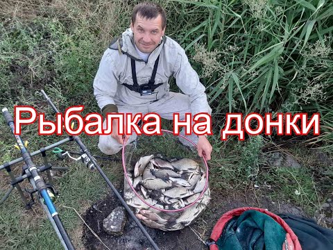 Видео: Хлеб лучше пенопласта. Рыбалка на Софиевском водохранилище.  Ловля леща на донки в августе.