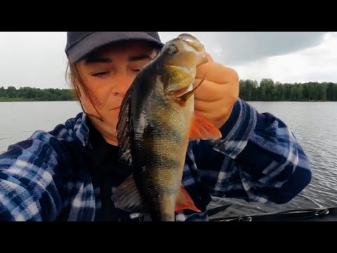 Видео: Влетело.Жор окуня на сломе погоды. Опять я виновата. 