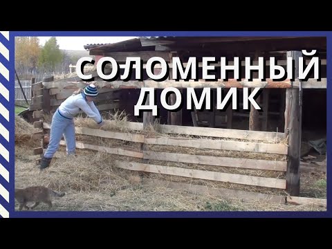Видео: Сарай из соломы/ Новые ворота и Зимний чеснок/ #ПереездНаАлтай#ПереездВдеревню