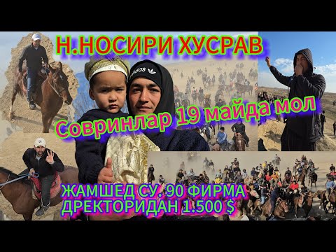 Видео: КИЗИЛКИТМОНДА КАТТА КУПКАРИ 19МАЙДА МОЛ ЖАМШИД СУ 90 ФИРМАСИ  ДРЕКТОРИДАН 1.500$ ва Бошкалар29.12.24