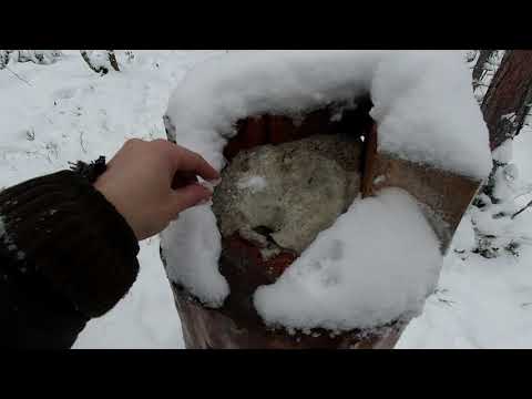 Видео: ОХОТА НА ЛОСЕЙ С ПОДХОДА 2020 ! НАШЕЛ ЦЕЛОЕ СТАДО!! СОЛОНЕЦ СРАБОТАЛ!ЛОСИНАЯ ЛИХОРАДКА ПРОДОЛЖАЕТСЯ!