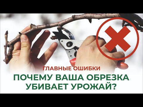 Видео: Ошибки, которые совершают садоводы осенью. Спасите сад от гибели!