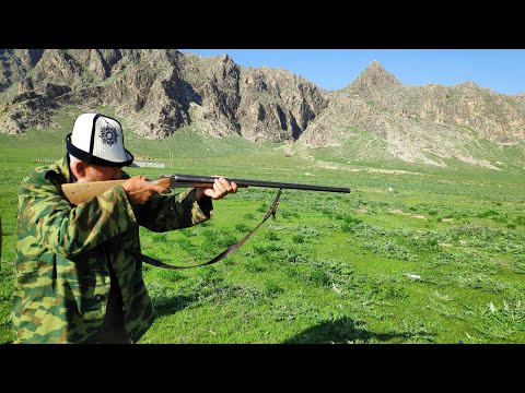 Видео: БУРКАН ава 700 карышкыр аткан ~ МЕРГЕНДЕР МЕЛДЕШИ ~ 2 бөлүк