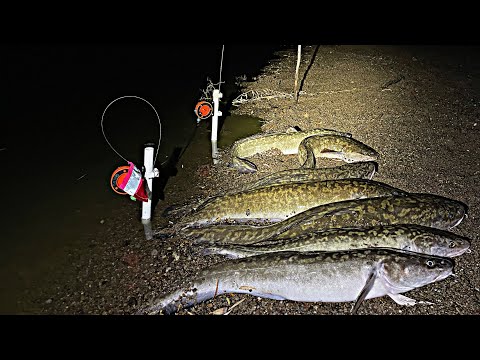 Видео: ЗАКИДУШКИ НА НАЛИМА! НОЧНАЯ РЫБАЛКА НА РЕКЕ НУРА