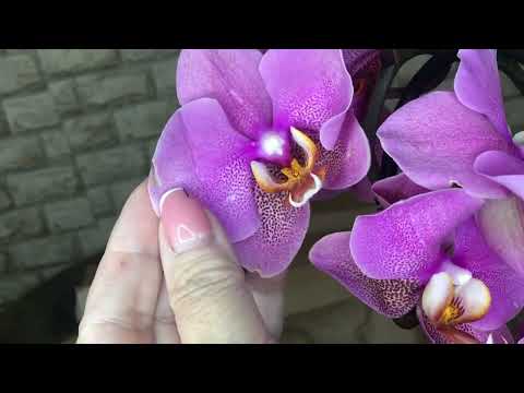 Видео: #3 Обзор посылки на север  в этом сезоне 2023 г