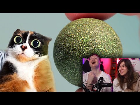 Видео: ВОТ ЧТО МЫ КУПИЛИ НА ALIEXPRESS | РЕАКЦИЯ на SlivkiShow