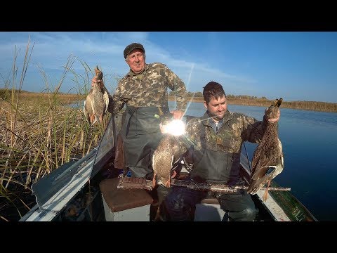 Видео: ОХОТА на УТКУ.    УДАЧНАЯ  ОХОТА.