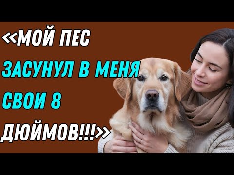 Видео: Пока мужа не было дома, я сделала ЭТО с нашей собакой  Правдивая история измены