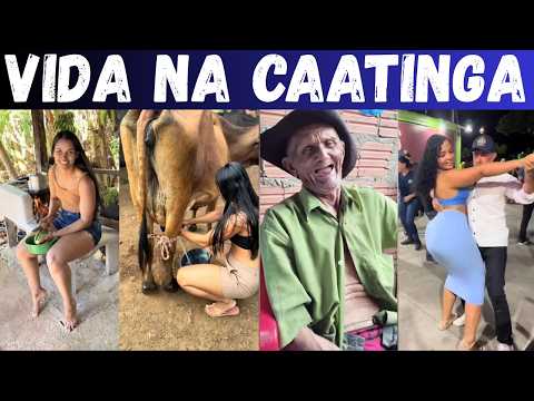 Видео: Северо-Восточный Серт: грубая борьба за бэккантри прот...