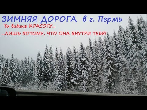 Видео: Красота Зимнего леса из окна машины. Ч.1-поехали в Пермь за грунтом и горшками для рассадного сезона