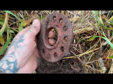 Видео: Осенний выход с металлоискателем 