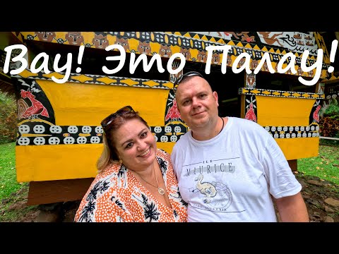 Видео: Вау! Это Палау!