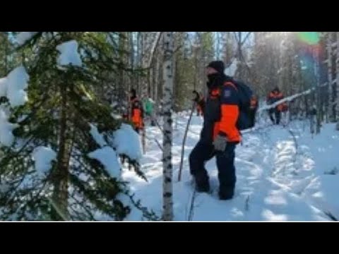 Видео: Родственники пропавшей в тайге семьи Усольцевых вызвали интерес у следователей 