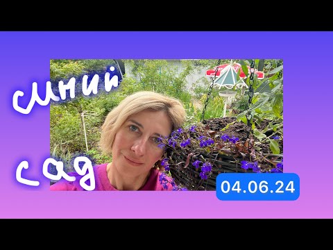 Видео: СИНИЙ САД МОНЕ