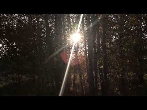 Видео: Магирани Яви