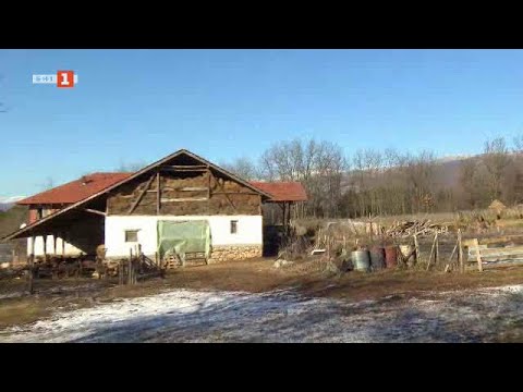 Видео: Баща и син, чиито кравеферми оцеляват малко "на инат", „Бразди“ - 01.02.2025