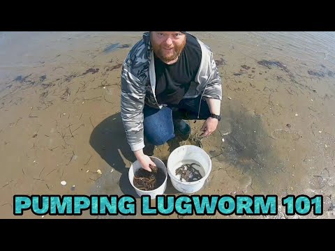 Видео: Как прокачать гусеницу!