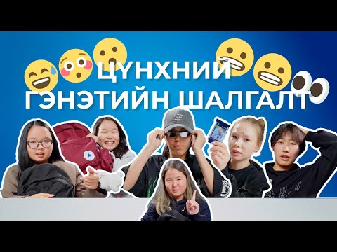 Видео: Цүнхний гэнэтийн шалгалт