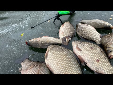 Видео: Как заставить карася клюнуть? Ловим пассивного карася со льда.