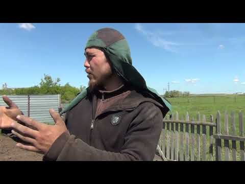 Видео: Тегіңнің негізі жеріңмен ауылға бар тегіңе жалған қазағым Жайнақтан