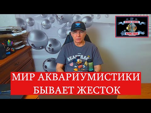 Видео: Ты можешь стать следующим!