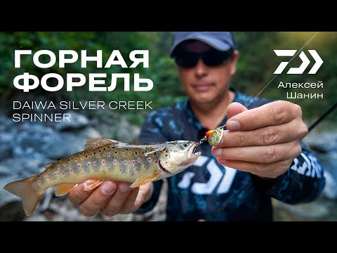 Видео: DAIWA SILVER CREEK SPINNER / Алексей Шанин