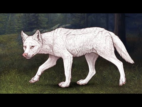 Видео: Мини-комикс про детство Вьюги 🤍