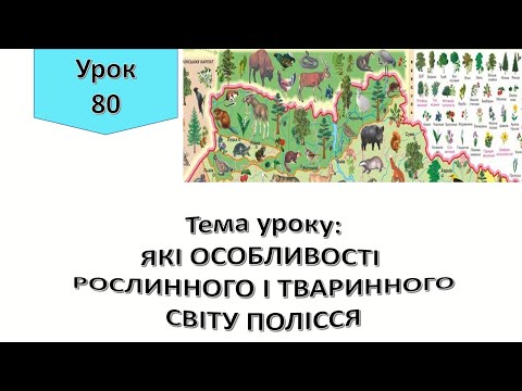Видео: Урок 80.   ЯКІ ОСОБЛИВОСТІ РОСЛИННОГО І ТВАРИННОГО СВІТУ ПОЛІССЯ? Я досліджую світ 4 клас.