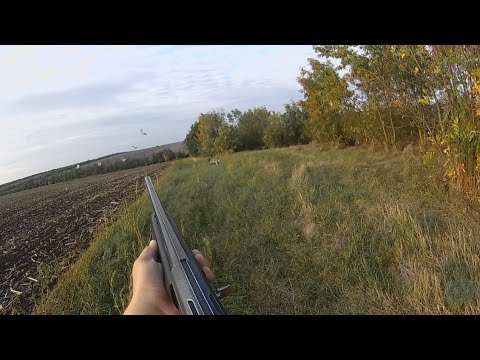 Видео: ОХОТА НА КУРОПАТКУ УДАЛАСЬ...