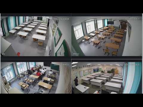 Видео: Олимпиада 12.11.2025 13:00