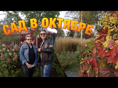 Видео: Ландшафтный сад в коттеджном стиле; сад непрерывного цветения