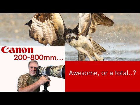 Видео: Canon 200-800mm — потрясающий или...?