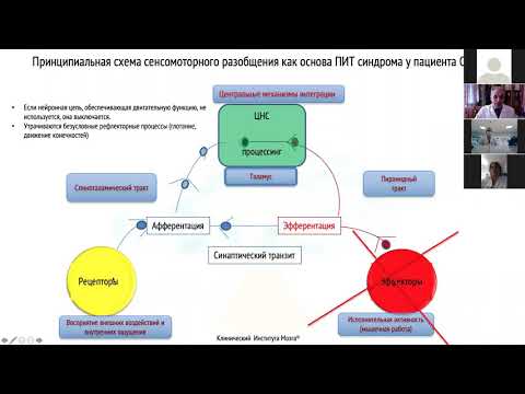 Видео: Фундаментальные основы реабилитации