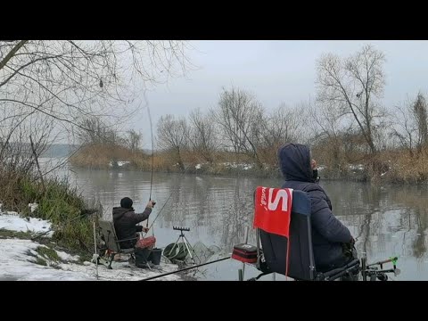 Видео: БЕЛООЗЁРСК 2ОЙ ТЁПЛЫЙ. РЫБАЛКА НА ФИДЕР