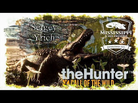 Видео: TheHunter Call of the Wild | Кайфуем | 47 стрим.