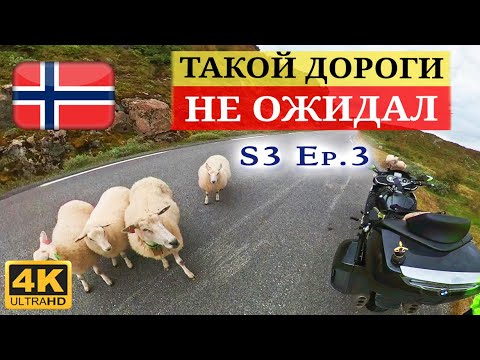 Видео: Продолжаю мотопутешествие по Норвегии. В шоке от невероятной "дороги баранов" и видов по пути к ней.