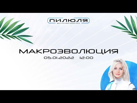 Видео: Макроэволюция | Пилюля 2022