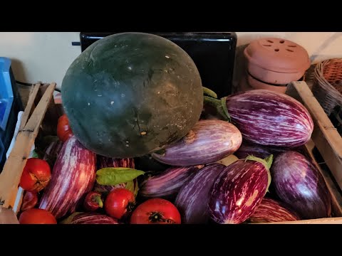 Видео: 24-30 сентября 2025/Домашний Влог:Лечо из Баклажанов,Домашние Шоколадные Конфеты/Коллагеновая Маска
