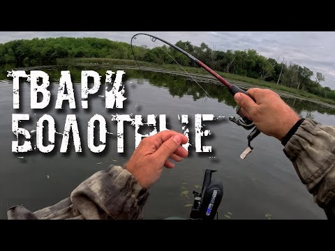 Видео: 🔴 ЩУКИ отрывают воблеры! Svinka косит окуней! 😱💥🔥