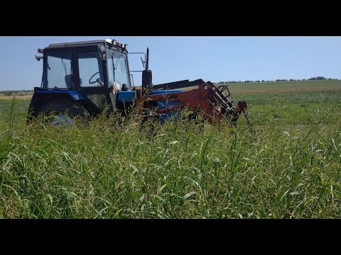 Видео: СЕНОКОС 2021. КАКИМ ОН БЫЛ?