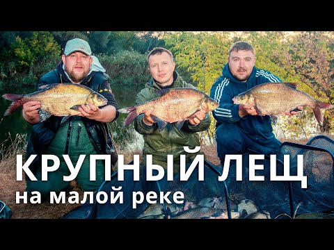Видео: Ловля леща на малой реке. Крупный лещ, ночная рыбалка.