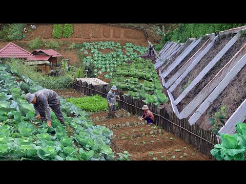 Видео: Целых 25 дней. Постройте новую ферму, выращивайте тысячи овощей и рыбу. ...