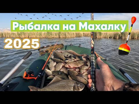 Видео: Рыбалка на махалку 2025.