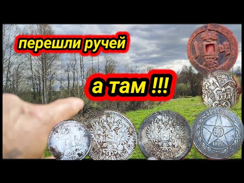 Видео: Перешли ручей, чего только там нет