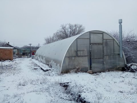 Видео: как вырастить ранний огурец при слабом отоплении в теплице