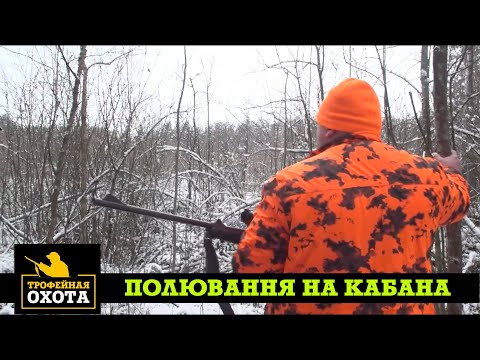 Видео: Полювання на кабана | Трофейне Полювання №64