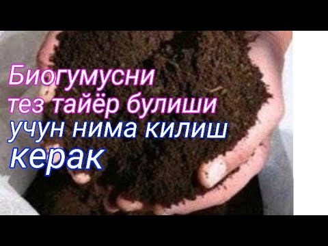 Видео: Биогумусни тез тайёрлаш учун килинадиган чора тадбирлар