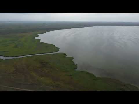 Видео: Карасукский район , аул Стеклянный. 28.08.2023г.