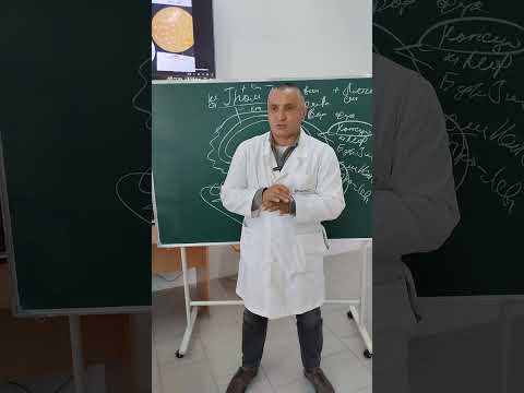 Видео: Методы выявления структурных элементов бактериальной клетки 