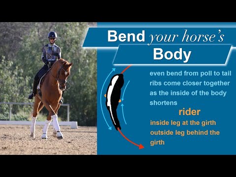 Видео: Что нужно, чтобы правильно согнуть лошадь?